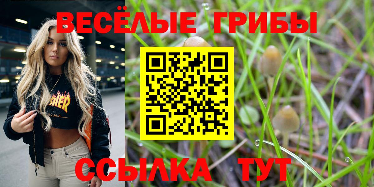 Галлюциногенные грибы прущие грибы  Вход с VPN  Энгельс  Галлюциногенные грибы мицелий 